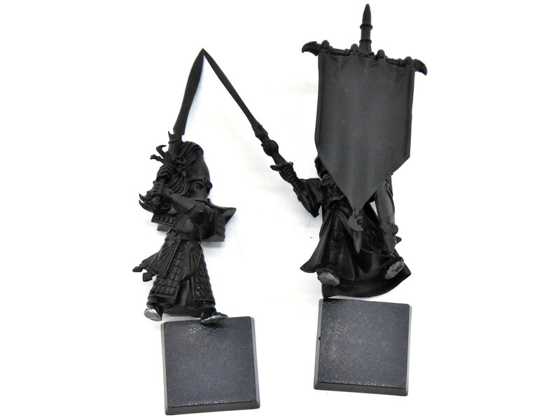 Games Workshop HIGH ELVES Swordmaster Banner & Captain #1 Warhammer Fantasy