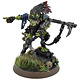 TAU EMPIRE Kroot Shaper #1 WELL PAINTED Warhammer 40K