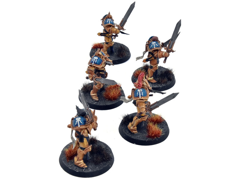Games Workshop STORMCAST ETERNALS 5 Liberators #1 WELL PAINTED Warhammer Sigmar