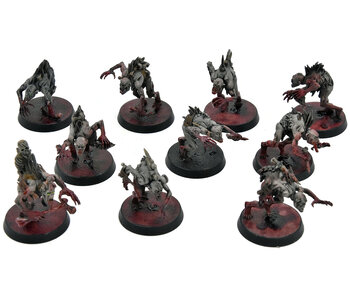 FLESH-EATER COURTS 10 Crypt Ghouls #1 WELL PAINTED Warhammer Sigmar