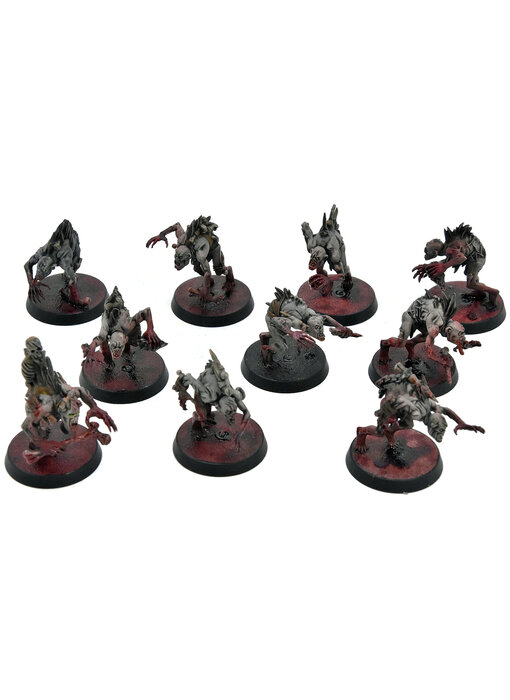 FLESH-EATER COURTS 10 Crypt Ghouls #1 WELL PAINTED Warhammer Sigmar