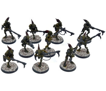 TAU EMPIRE 10 Kroot Carnivores #2 Warhammer 40K