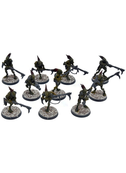 TAU EMPIRE 10 Kroot Carnivores #2 Warhammer 40K