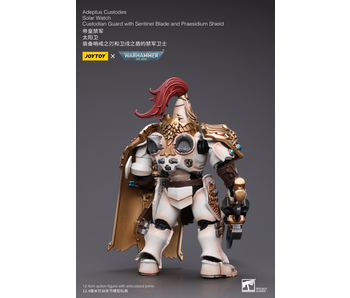 Solar Watch Custodian Guard with Sentinel Blade and Praesidium Shield Joy Toy