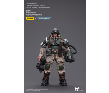 Cadian Command Squad Veteran Sergeant with Power Fist Astra Militarum Joy Toy