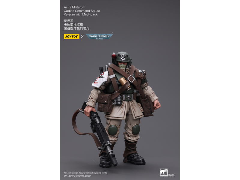 Joy Toy Cadian Command Squad Veteran with Medi-pack Astra Militarum Joy Toy