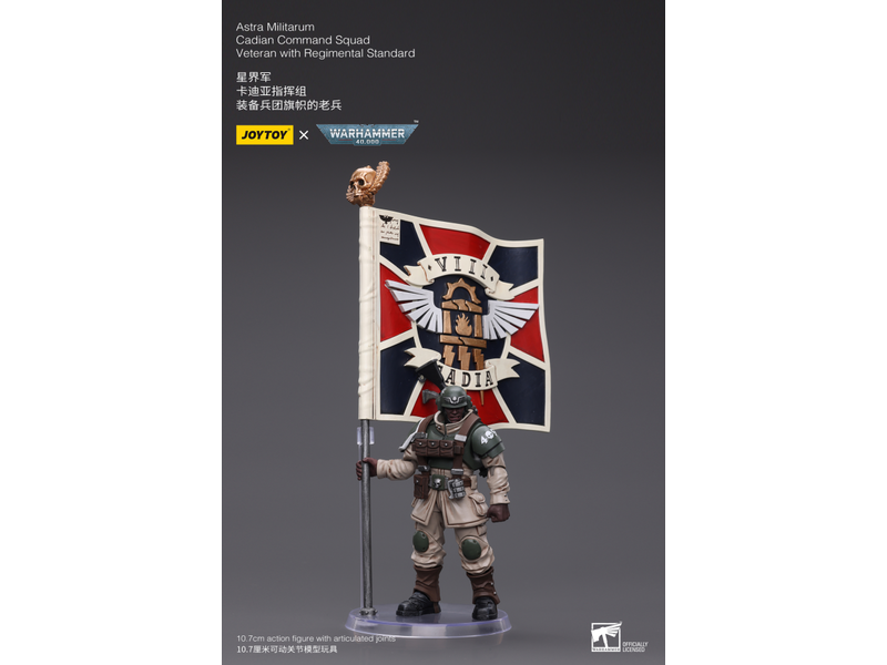 Joy Toy Cadian Command Squad Veteran with Regimental Standard Astra Militarum Joy Toy