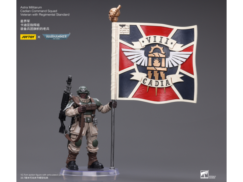 Joy Toy Cadian Command Squad Veteran with Regimental Standard Astra Militarum Joy Toy