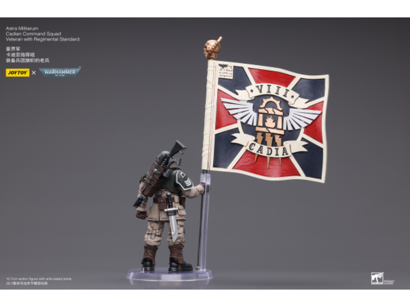 Joy Toy Cadian Command Squad Veteran with Regimental Standard Astra Militarum Joy Toy