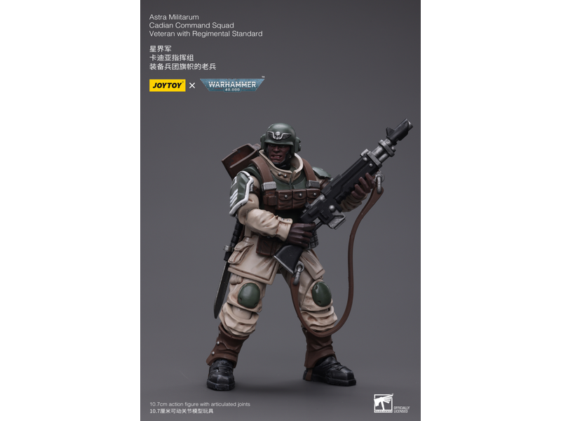 Joy Toy Cadian Command Squad Veteran with Regimental Standard Astra Militarum Joy Toy