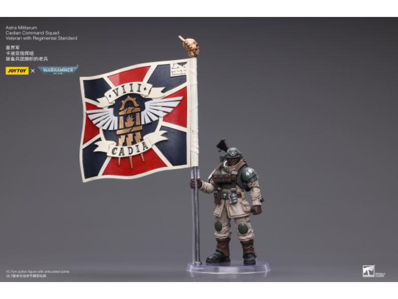 Joy Toy Cadian Command Squad Veteran with Regimental Standard Astra Militarum Joy Toy