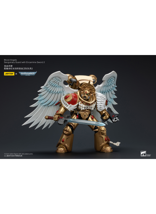 Sanguinary Guard with Encarmine Sword 2 Blood Angels Joy Toy