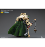 Joy Toy Deathwing Knight Master with Flail of the Unforgiven Dark Angels Joy Toy