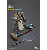 Joy Toy Interceptor Squad Interceptor Justicar Grey Knights Joy Toy