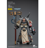 Joy Toy Interceptor Squad Interceptor Justicar Grey Knights Joy Toy