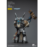 Joy Toy Interceptor Squad Interceptor Justicar Grey Knights Joy Toy