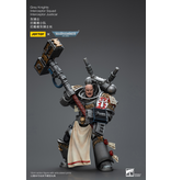 Joy Toy Interceptor Squad Interceptor Justicar Grey Knights Joy Toy