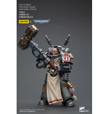 Joy Toy Interceptor Squad Interceptor Justicar Grey Knights Joy Toy