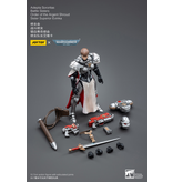 Joy Toy Battle Sisters Order of the Argent Shroud Sister Superior Evinka Joy Toy