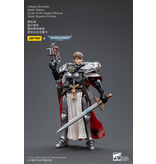 Joy Toy Battle Sisters Order of the Argent Shroud Sister Superior Evinka Joy Toy