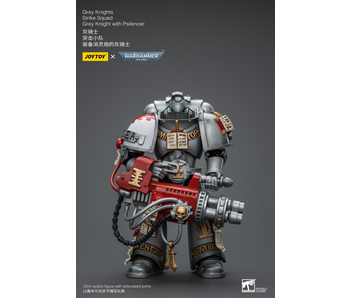 Strike Squad Grey Knight with Psilencer Grey Knights Joy Toy