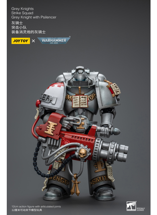 Strike Squad Grey Knight with Psilencer Grey Knights Joy Toy