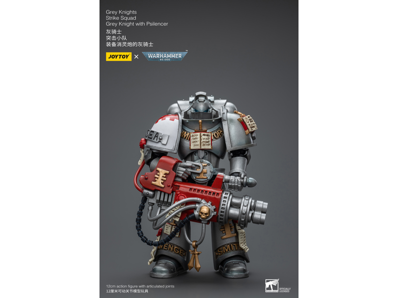 Joy Toy Strike Squad Grey Knight with Psilencer Grey Knights Joy Toy