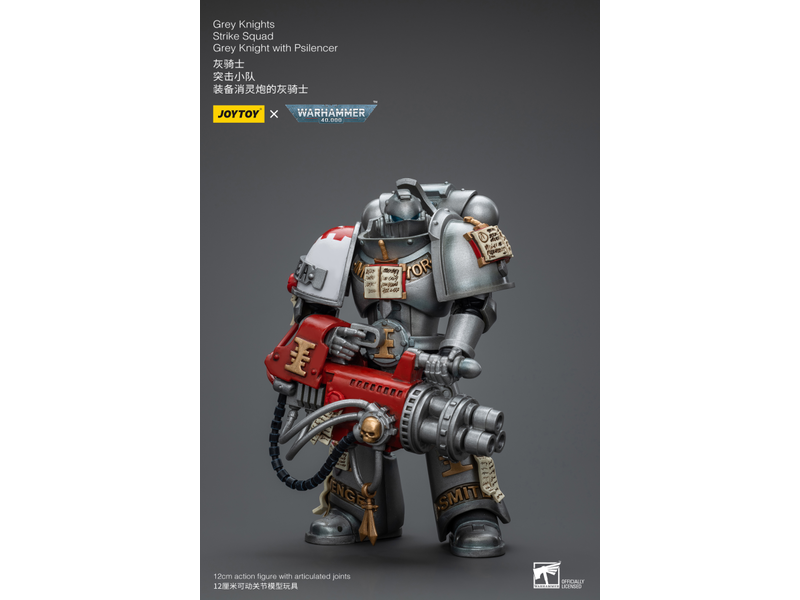 Joy Toy Strike Squad Grey Knight with Psilencer Grey Knights Joy Toy