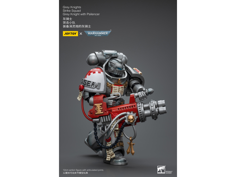 Joy Toy Strike Squad Grey Knight with Psilencer Grey Knights Joy Toy