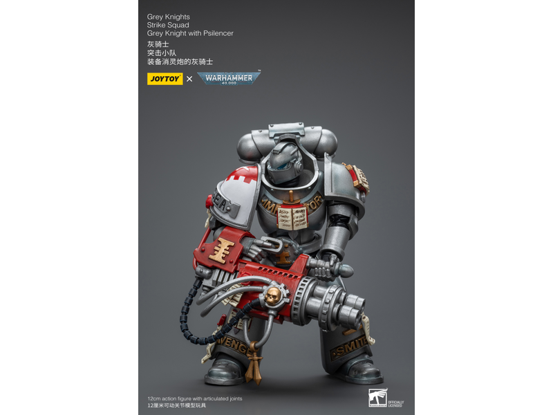 Joy Toy Strike Squad Grey Knight with Psilencer Grey Knights Joy Toy