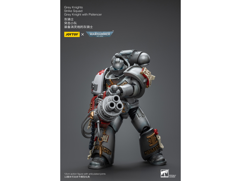 Joy Toy Strike Squad Grey Knight with Psilencer Grey Knights Joy Toy