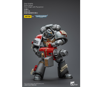 Strike Squad Grey Knight with Psycannon Grey Knights Joy Toy