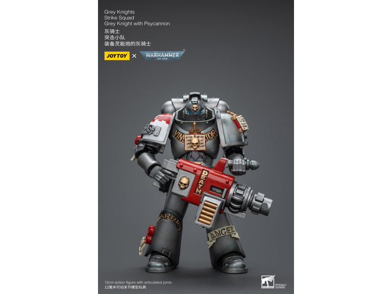 Joy Toy Strike Squad Grey Knight with Psycannon Grey Knights Joy Toy