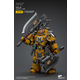 Fafnir Rann Imperial Fists Joy Toy