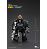Joy Toy Captain in Terminator Armour Iron Hands Joy Toy