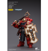 Joy Toy Primaris Space Marines Blood Angels Bladeguard Veteran Joy Toy