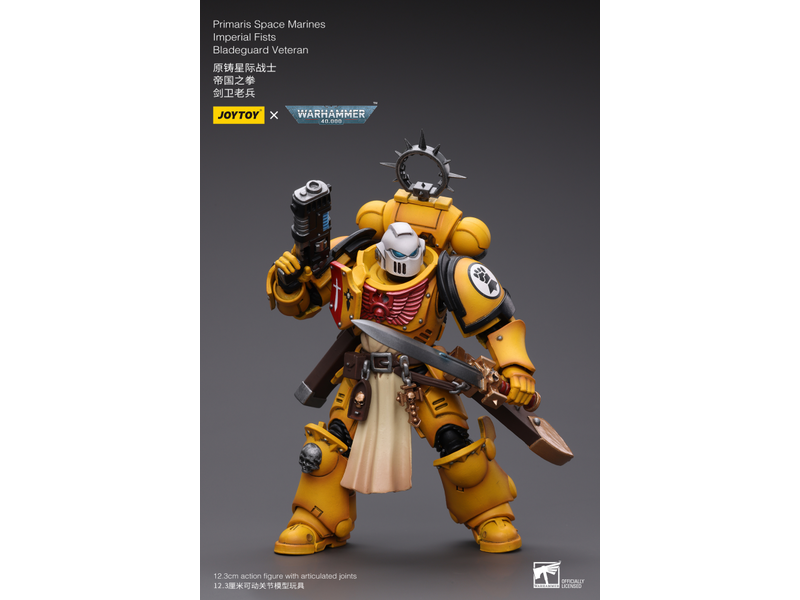 Joy Toy Primaris Space Marines Imperial Fists Bladeguard Veteran Joy Toy
