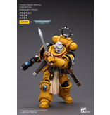 Joy Toy Primaris Space Marines Imperial Fists Bladeguard Veteran Joy Toy
