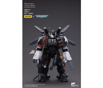 Raven Guard Chapter Master Kayvaan Shrike Joy Toy