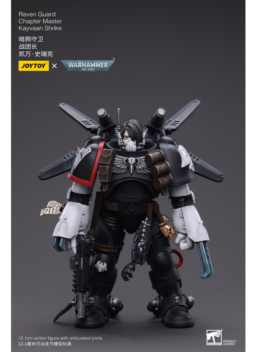 Raven Guard Chapter Master Kayvaan Shrike Joy Toy