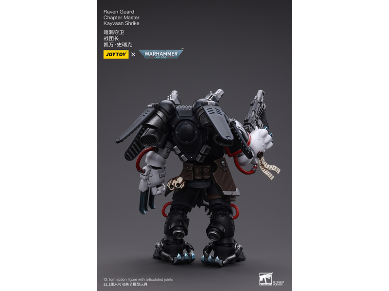 Joy Toy Raven Guard Chapter Master Kayvaan Shrike Joy Toy