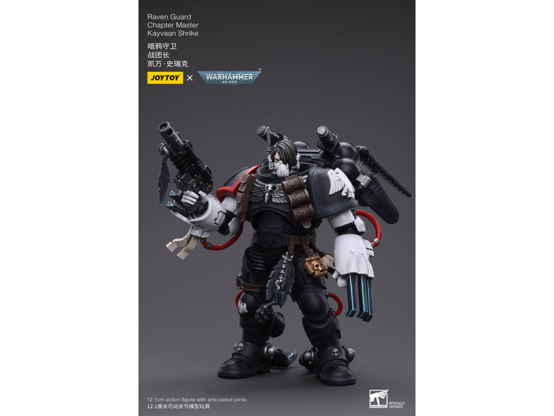 Joy Toy Raven Guard Chapter Master Kayvaan Shrike Joy Toy