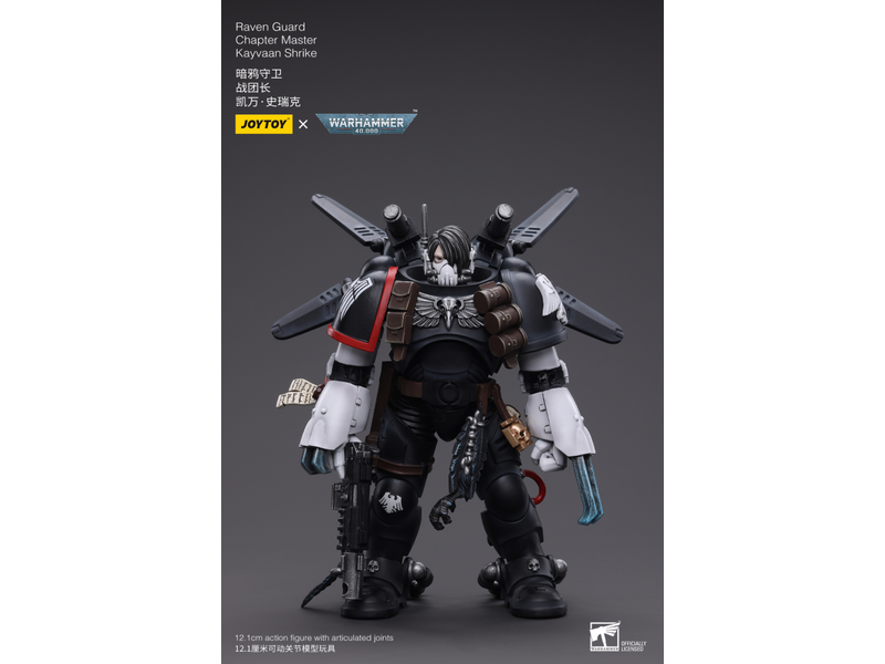 Joy Toy Raven Guard Chapter Master Kayvaan Shrike Joy Toy
