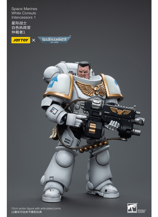 White Consuls Intercessors 1 Space Marines Joy Toy