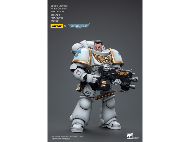 Joy Toy White Consuls Intercessors 1 Space Marines Joy Toy