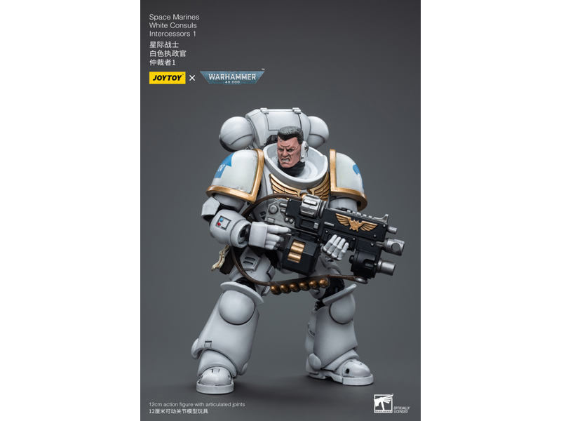 Joy Toy White Consuls Intercessors 1 Space Marines Joy Toy