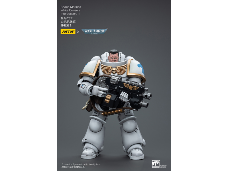Joy Toy White Consuls Intercessors 1 Space Marines Joy Toy