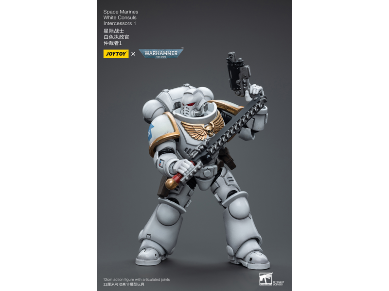 Joy Toy White Consuls Intercessors 1 Space Marines Joy Toy