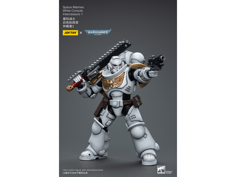 Joy Toy White Consuls Intercessors 1 Space Marines Joy Toy
