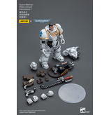 Joy Toy White Consuls Intercessors 1 Space Marines Joy Toy